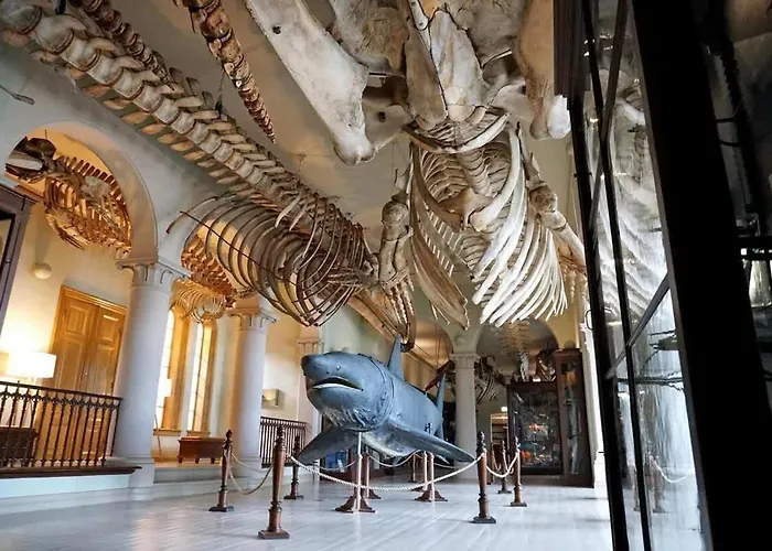 Dinbnb L Historical Building I 100m To Museum *