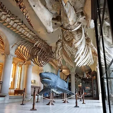 Dinbnb L Historical Building I 100m To Museum *